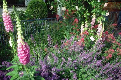 bauerngaerten-staudengaerten-gartengestaltung